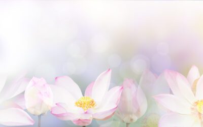 How Therapy Helps Teens Build Emotional Resilience