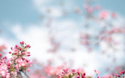 How to Know When It’s Time to Seek Therapy