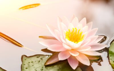 Gender Identity and Mental Health: Creating Safe Space for Your Teen